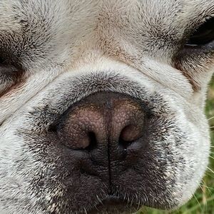 Meet your Posher, Riley